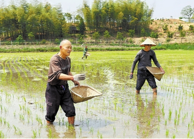 营养调一调 土壤更健康