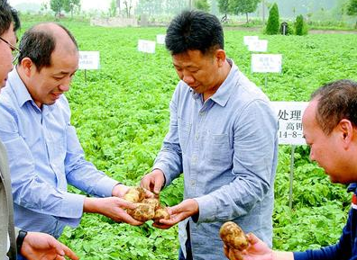 云梦菜农，走出大肥大水误区