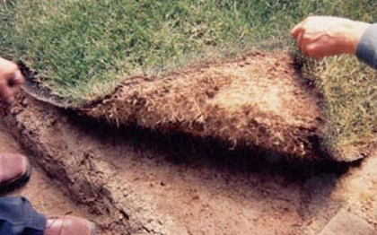 土壤改良：扫除盐碱化障碍