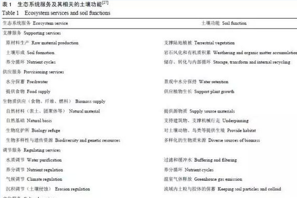 全球变化下的土壤及其功能与生态系统服务