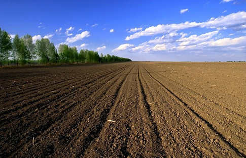 伫立万亿“风口” 土壤修复市场加速度