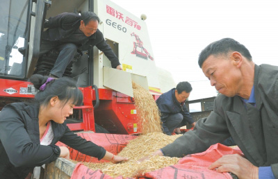 雷沃爱心农机帮助河南农民麦收.jpg