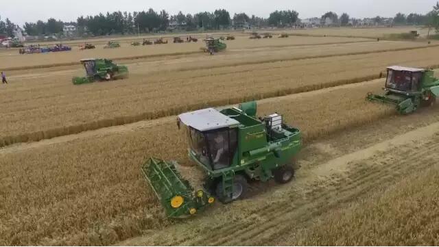 安徽科学调度农机抢收小麦 投入约15万台联合收割机.jpg