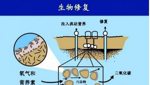 土壤修复新技术之 微生物与纳米粒子的联姻