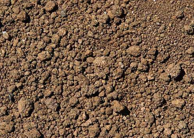 大连“黑肥”专治土壤“营养不良”