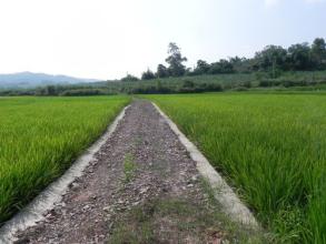 机耕路.jpg