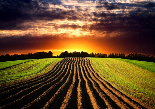 释放土壤生产潜力 把控好土壤修复市场 