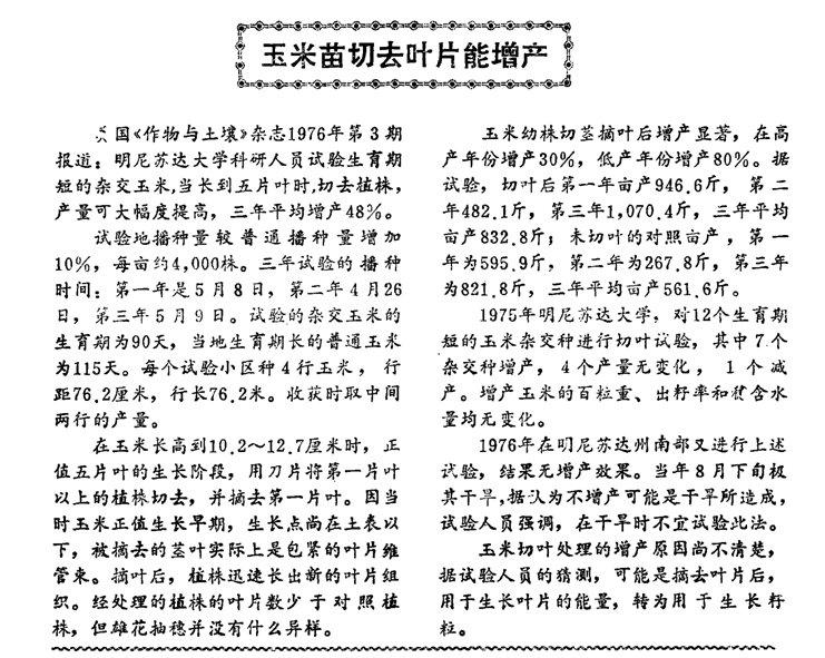 40年前美国科研人员试验玉米苗切去叶片能增产！