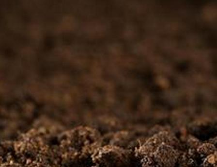稻米“镉超标”敲响土壤污染警钟 如何给土壤治病？