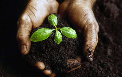 “土壤-营养-健康”的链条关系