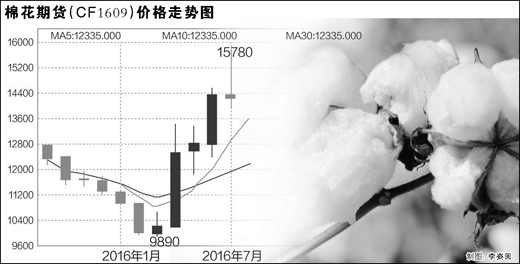 储备棉积压棉花价格却疯涨 谁在助推棉价暴涨.jpg