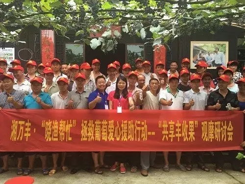 感恩有您，笑傲葡萄江湖