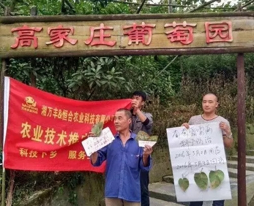 感恩有您，笑傲葡萄江湖