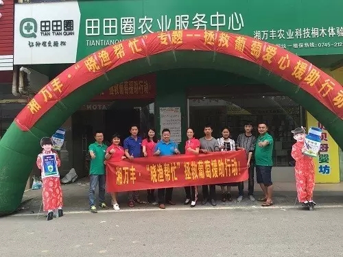 感恩有您，笑傲葡萄江湖