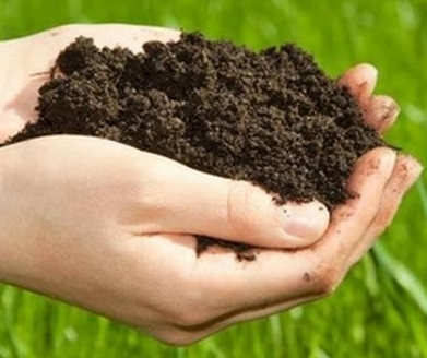 专题协商土壤污染　防治与修复工作