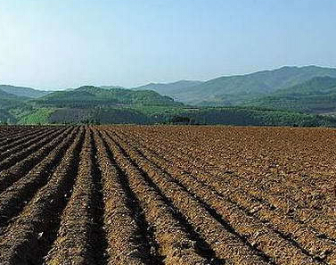 保障“舌尖上的安全” 江苏将划定农产品禁产区