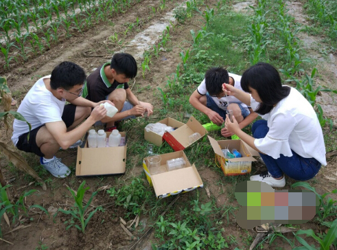 聊城大学关注农村土壤问题致力生态文明