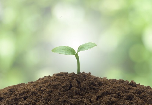 腐植酸能改良土壤性状