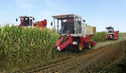 陕西省今年“三秋”机收玉米将达50%以上.jpg