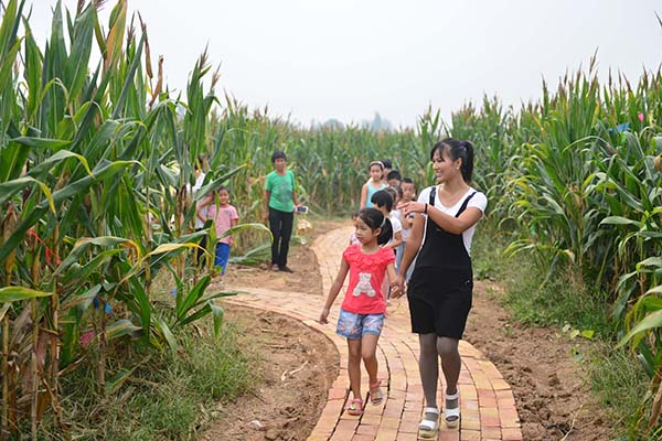 游客在河北柏乡“玉米迷宫”内游玩.jpg