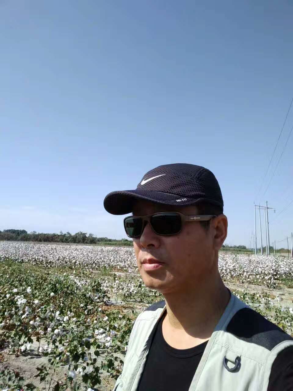 每亩棉田增收900元,施地佳产品改造盐碱土壤助产增收
