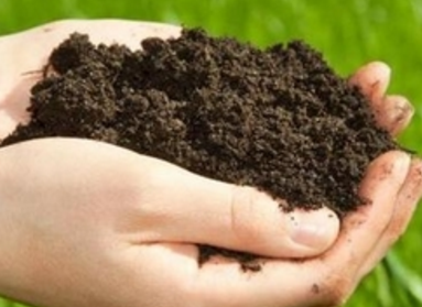 《硼镁钙土壤调理剂》团体标准获得通过