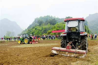 玉米密植全程机械化.jpg