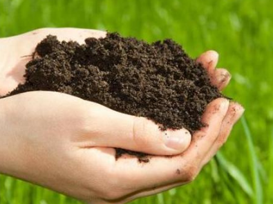 解读：土壤铅污染修复技术的几个种类