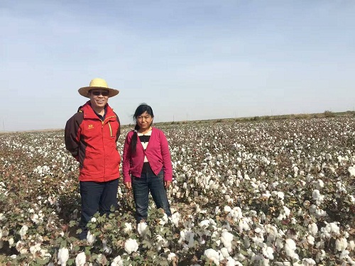 成都华宏盐碱地改造又结硕果  十一年荒地一朝变良田