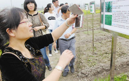 为土壤“刮毒疗伤” 让污染地变为可用耕地