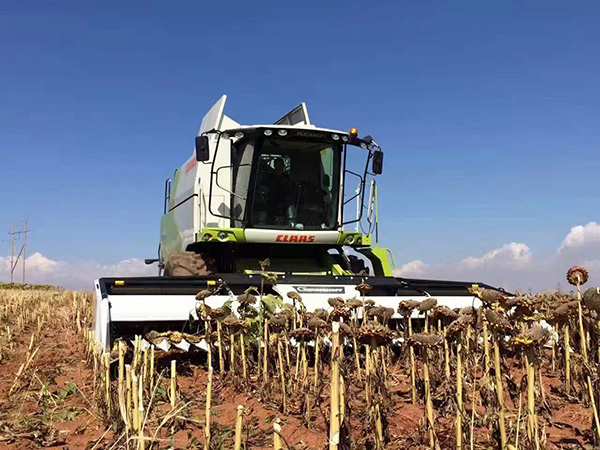 科乐收(CLAAS) TUCANO 系列收割机引领“葵花机械化收割时代”1.jpg