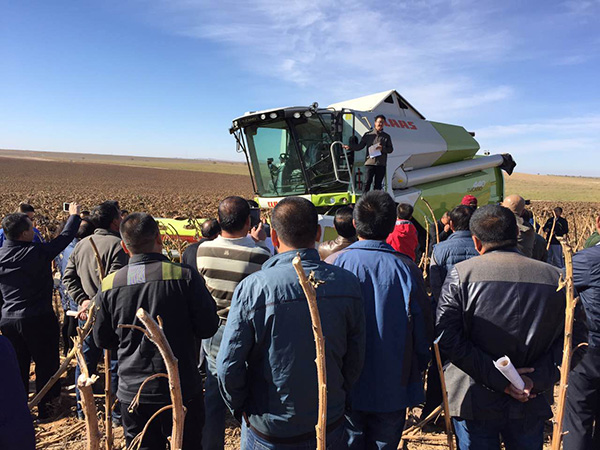 科乐收(CLAAS) TUCANO 系列收割机引领“葵花机械化收割时代”2.jpg