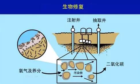 土壤地下水修复技术工程——原位生物修复