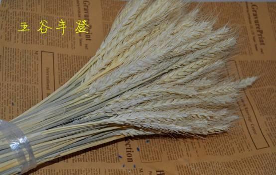 一亩小麦可以卖几万块钱，是真的吗？