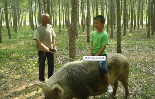 这样农村孩子的图让你想到了什么