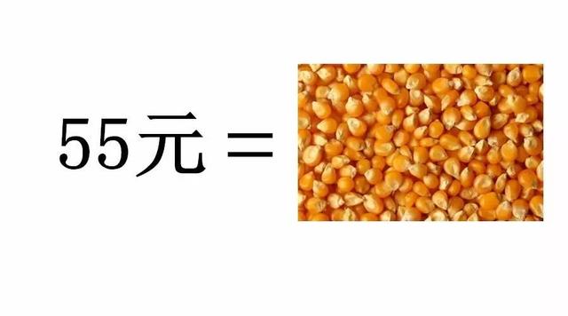 今年一亩地玉米赚多少钱？一起来计算下成本