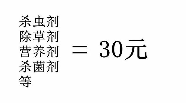 今年一亩地玉米赚多少钱？一起来计算下成本