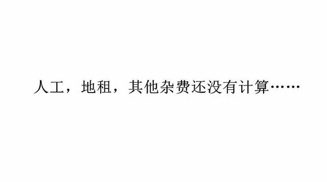 今年一亩地玉米赚多少钱？一起来计算下成本