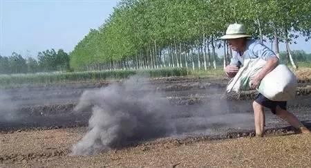 葡萄缺钙症状图片及防治方法