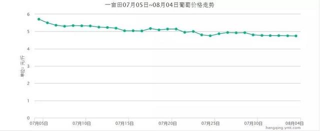 8月份葡萄价格终于有转机了，你不看看吗？