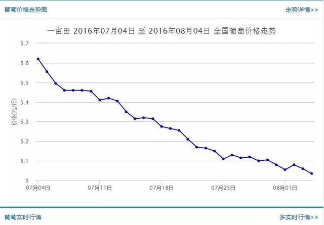 8月份葡萄价格终于有转机了，你不看看吗？