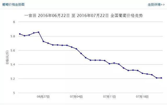 最新全国各地葡萄价格详情