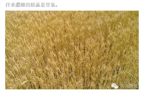 向年轻零售商阿瘦学习