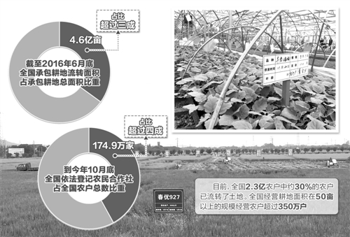 新型主体唱主角 适度规模有效益.jpg