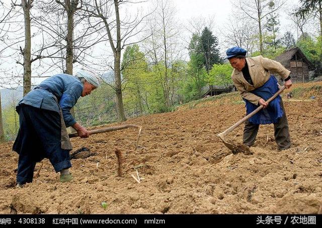 农村土地是不是农民最后的退路？