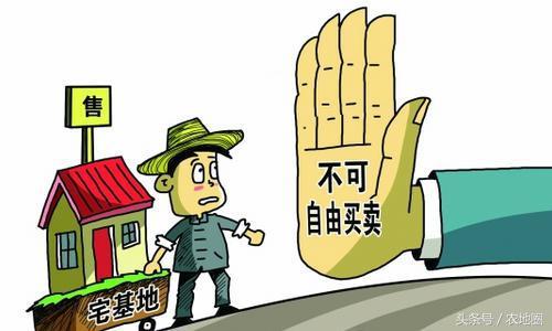 本次不予土地确权的农村宅基地将会被无偿回收？