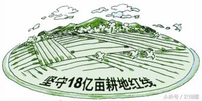 一个互联网土地流转平台眼里的土地流转！