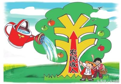 解读：农业部眼中农民增收的五大途径！