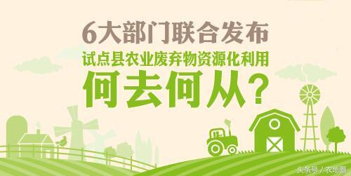 6大部门联合发布，试点县农业废弃物资源化利用何去何从?