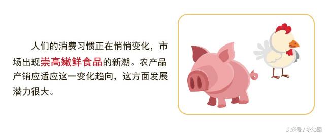 哪些策略可以提高农产品的销量？